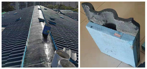 1556248851.jpg 116.jpg